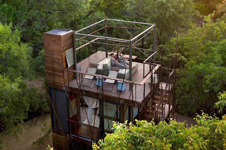 Tree House with an Observation Deck