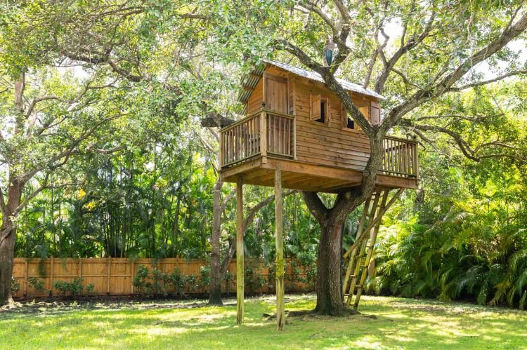 Simple and Affordable Tree House Designs