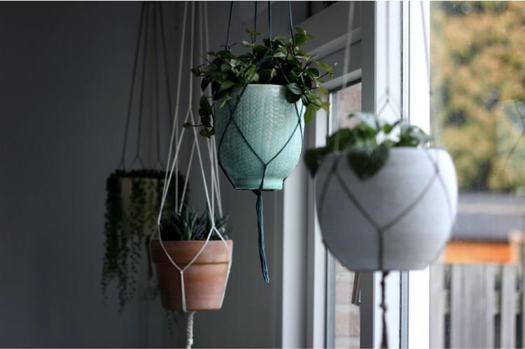 DIY Hanging Planters from Recycled Materials