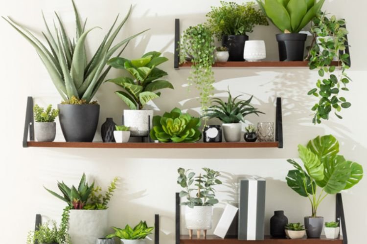 DIY Floating Shelves for Plants and Decor