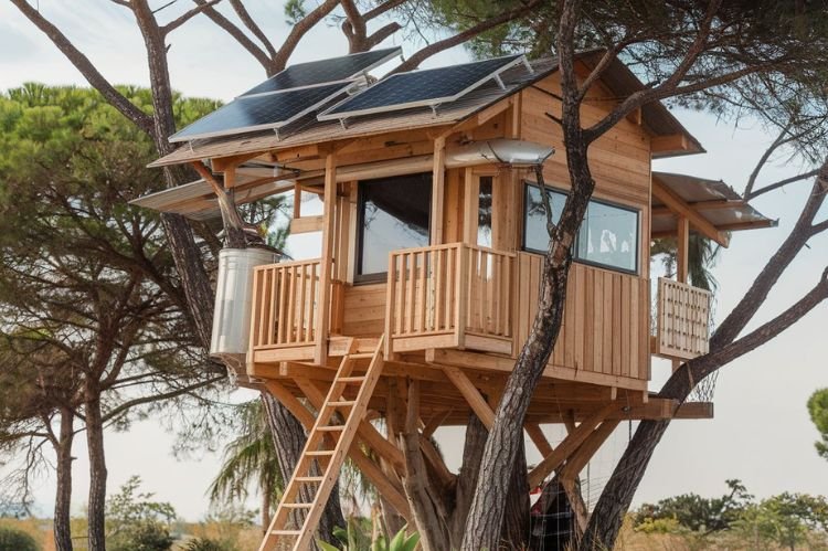 Eco-Friendly Tree House Construction