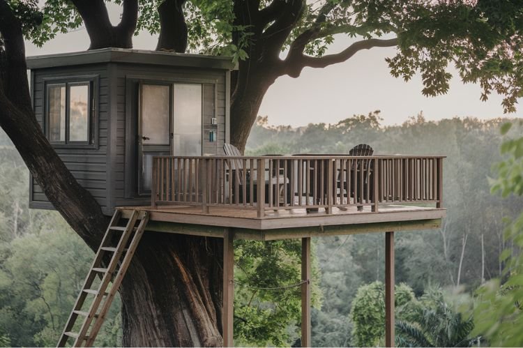 Tree House with a Rooftop Deck