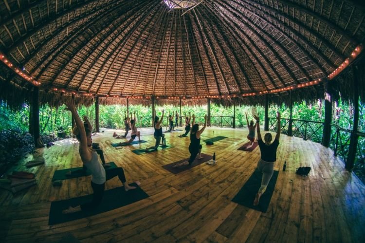 Tree House for Yoga and Meditation