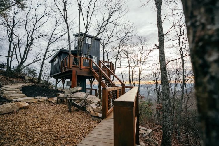 Tree House for Vacation Rentals