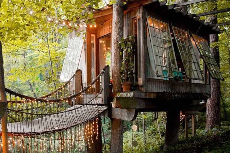 Tree House with Skylights for Extra Natural Light