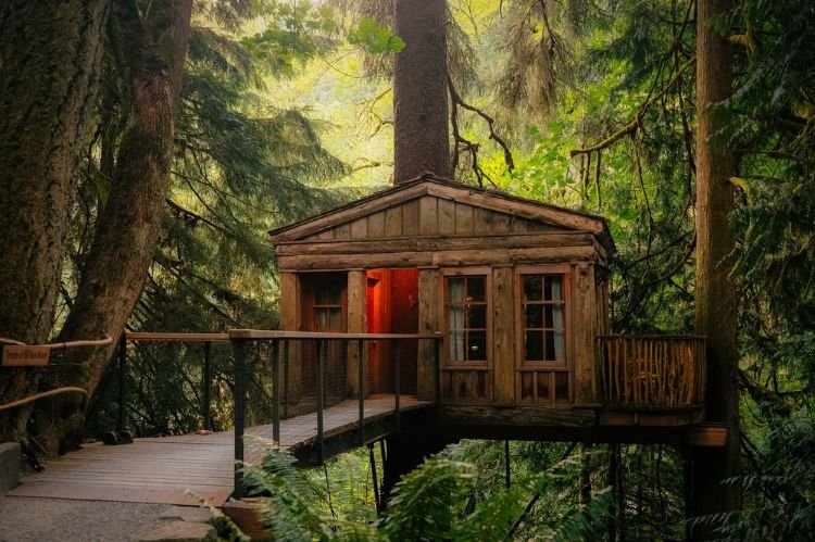 Rustic Tree House for Cozy Vibes