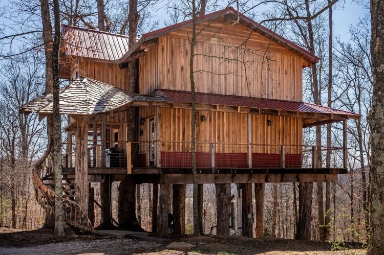 Tree House with a Secret Room